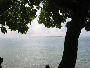 IMG_9239.JPG