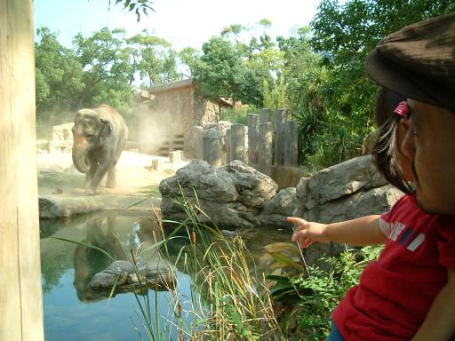 ぞうさんだ～！