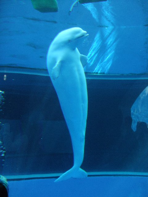 DSCF0673.jpg