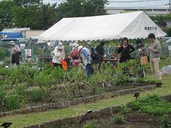 １２％08ＧＷ見本園テント 012.JPG