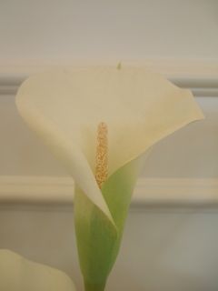１６７_320.jpg