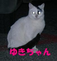 ゆき