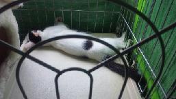 マリリン　10-07-05