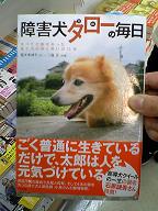 障害犬タローの毎日