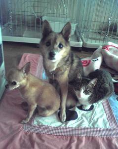 ナニコレ？