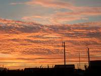 優しい色の夕焼け