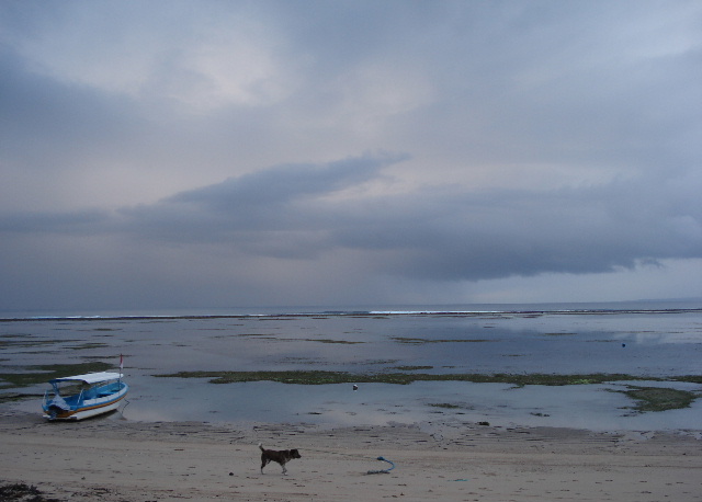 sanur3