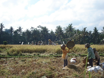 ubud