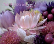 ブルーメンコルプ_100318-4