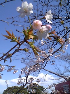 06031622.06-03-14_11-08.jpg