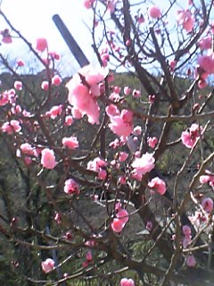 06031622.06-03-14_12-27.jpg