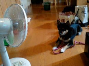 気持ち良いじゃ～ないですかっ！