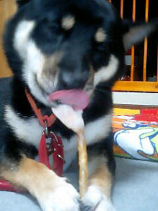 ガム　ペロペロ･･･！