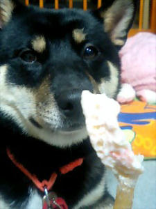 ガムに血が･･･！