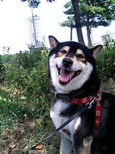 すっきり　きれいになったでしょ？