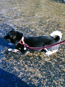 水の中で･･･