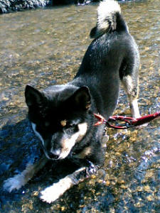 はるちゃん　あそぼ～～♪