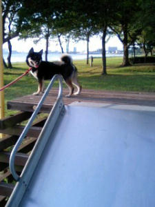 麻呂と滑り台　１