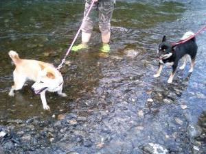 あいちゃんと麻呂