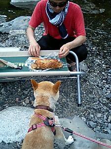 おいしそうでしゅね～