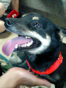 とぉちゃんマッサージ