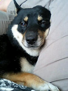 かぁちゃん･･･