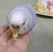 ( ﾟДﾟ)ｳﾏｰ