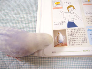 らる美