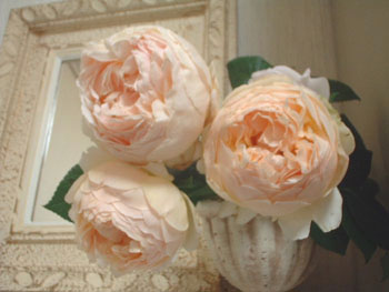 ｼﾞｭｰﾄﾞｼﾞｵﾌﾞｽｷｭｱ