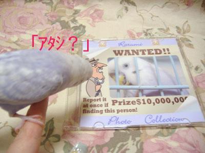 らる美