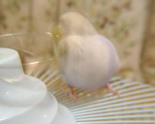 がっしゃんがっしゃん