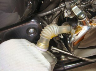 013DSC00229.JPG<br />
