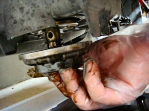 007DSC00215.JPG<br />
