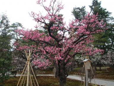 福井金沢の旅 018.jpg