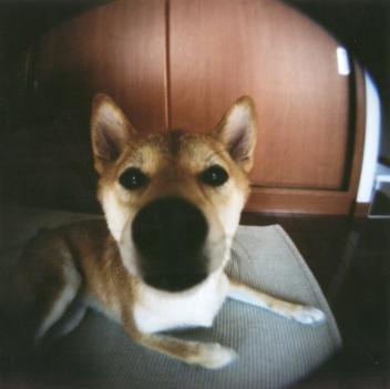 IMG.jpg