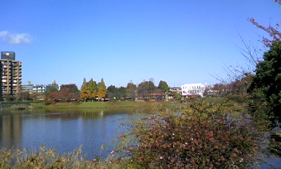 081122_1107~02.jpg