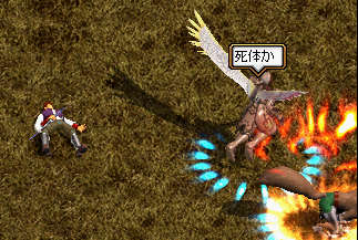 (*`-´*)えっちー！！