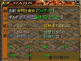 ・・・・へっぽこWIZ？