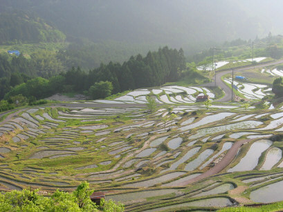 千枚田