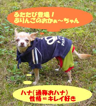 ぷりんご2 151.jpg