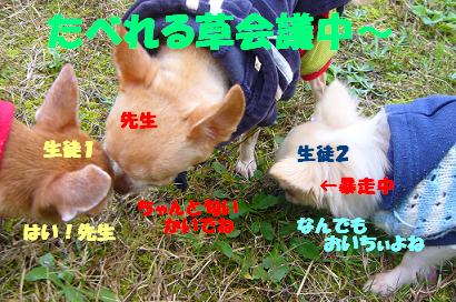 ぷりんご2 160.jpg