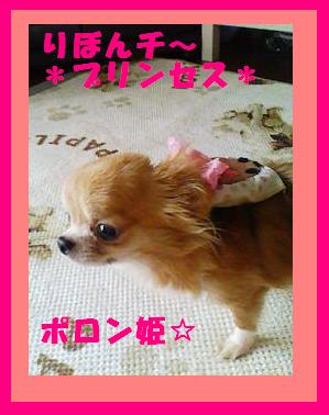 img496857a4t2dz3g.jpg