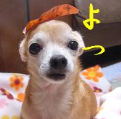 ぷりんご2 191.jpg