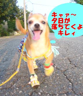 ぷりんご 167.jpg