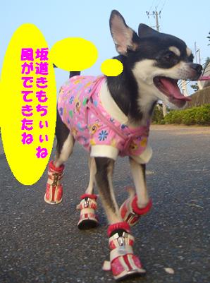 ぷりんご 170.jpg