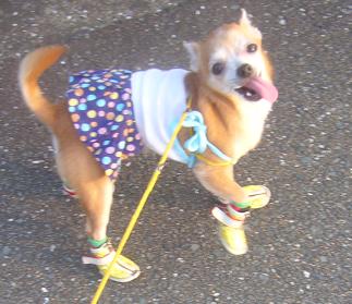 ぷりんご 174.jpg