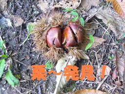 ぷりんご2 134.jpg