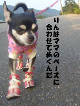 ぷりんご 171.jpg