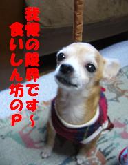 ぷりんご2 274.jpg