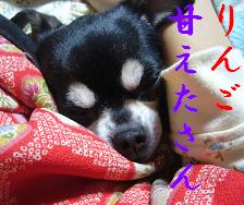 ぷりんご2 225.jpg